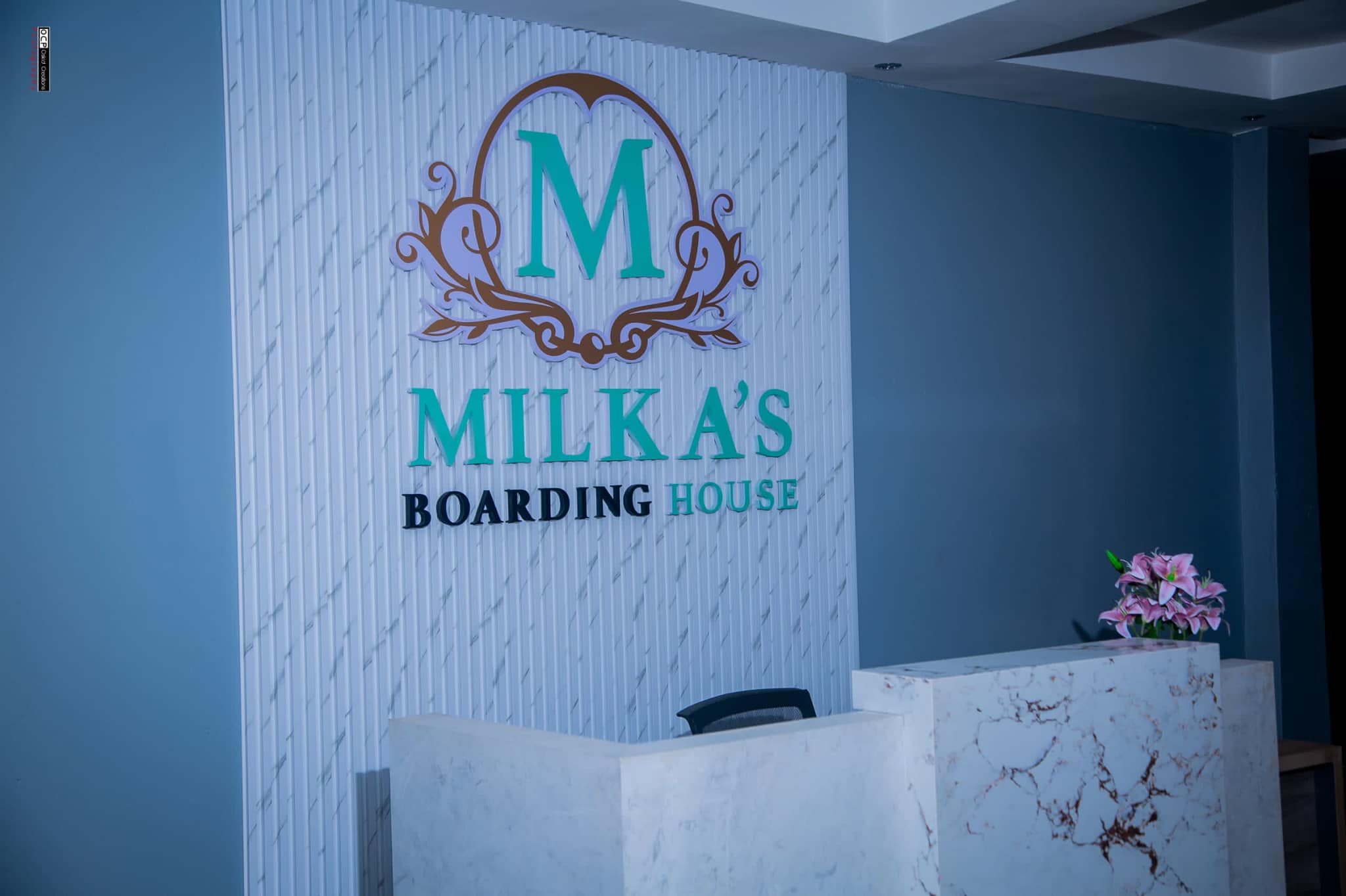 Students enjoying campus activities